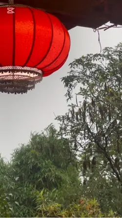 Nhạc chill
