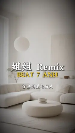 姐姐 Remix