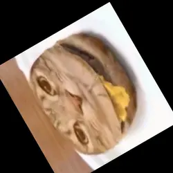 burgr