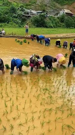 9+VIDEO 