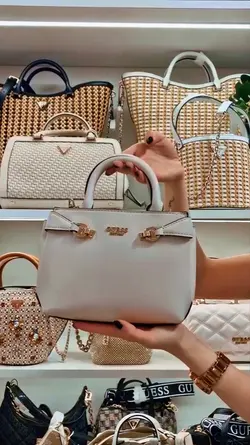 Luxury Bag