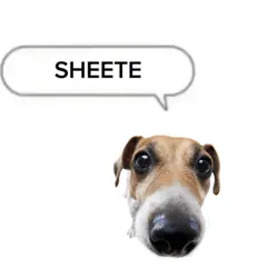 I don't give a sheet