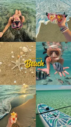 6 photo on the beach