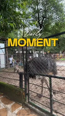 ZOO TIME VLOG