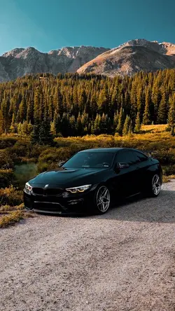 BMW ———🛞💰