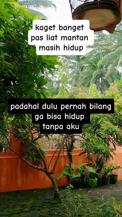 kata kata lucu