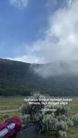 2958mdpl