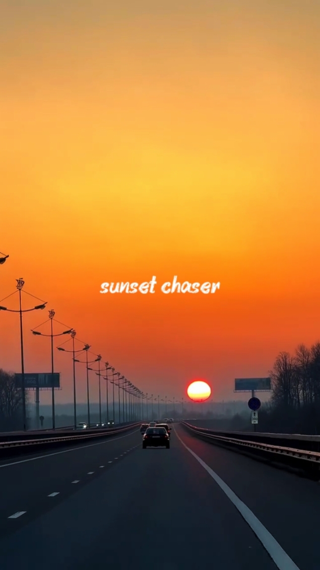 sunset chaser trend