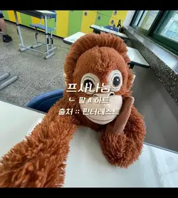 프사나누미 !