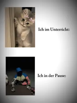 Schulmem