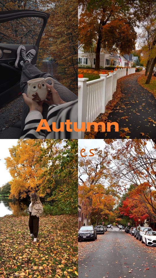 Autumn vibes