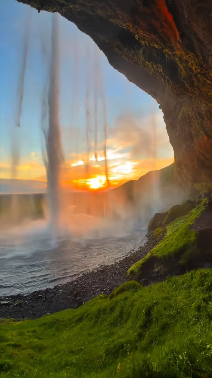 9 video wild nature 