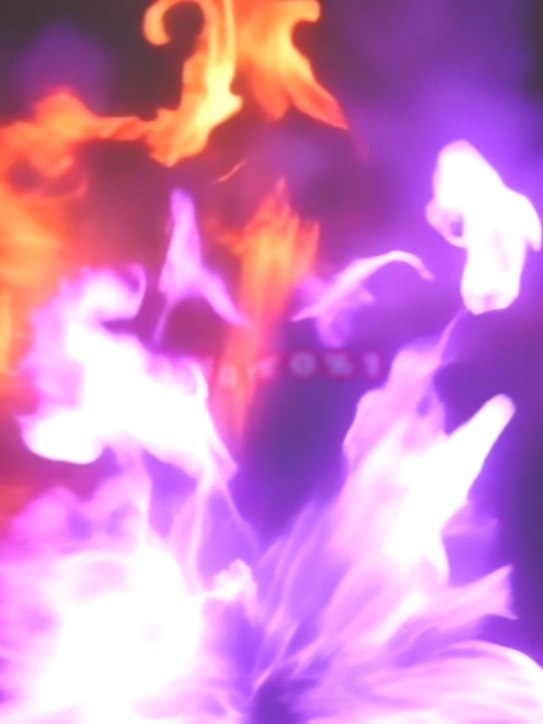 NOVA NEW CREATOR