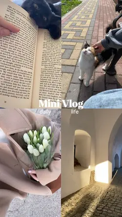 Mini vlog