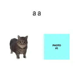 uiauiiaa cat trend