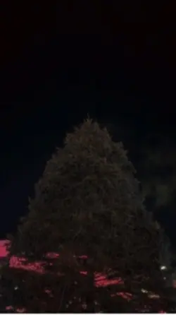 Lighting of Xmastree