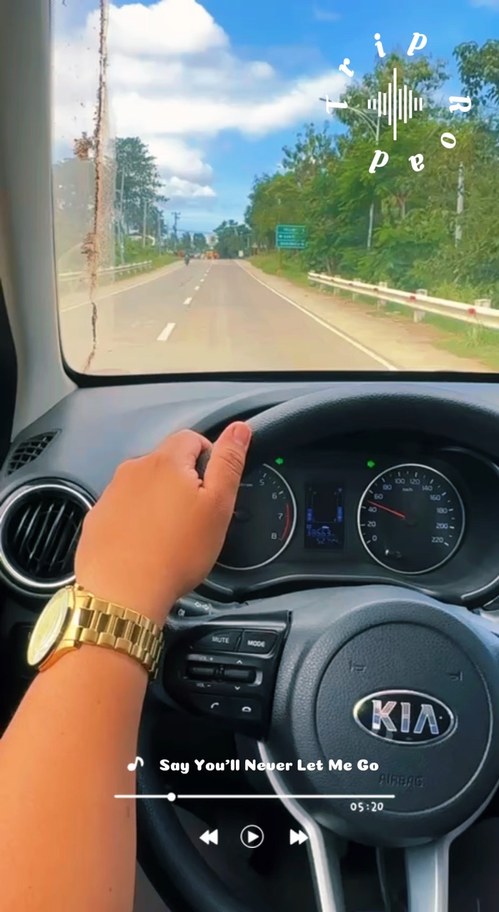 Yol Gezisi!