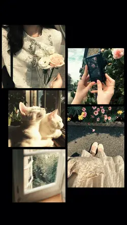 5 collage foto