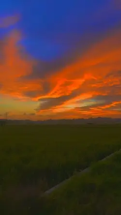 kualitas HD 