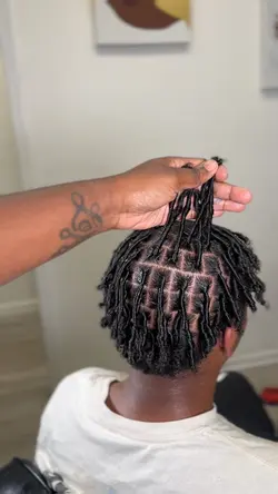 Starter locs