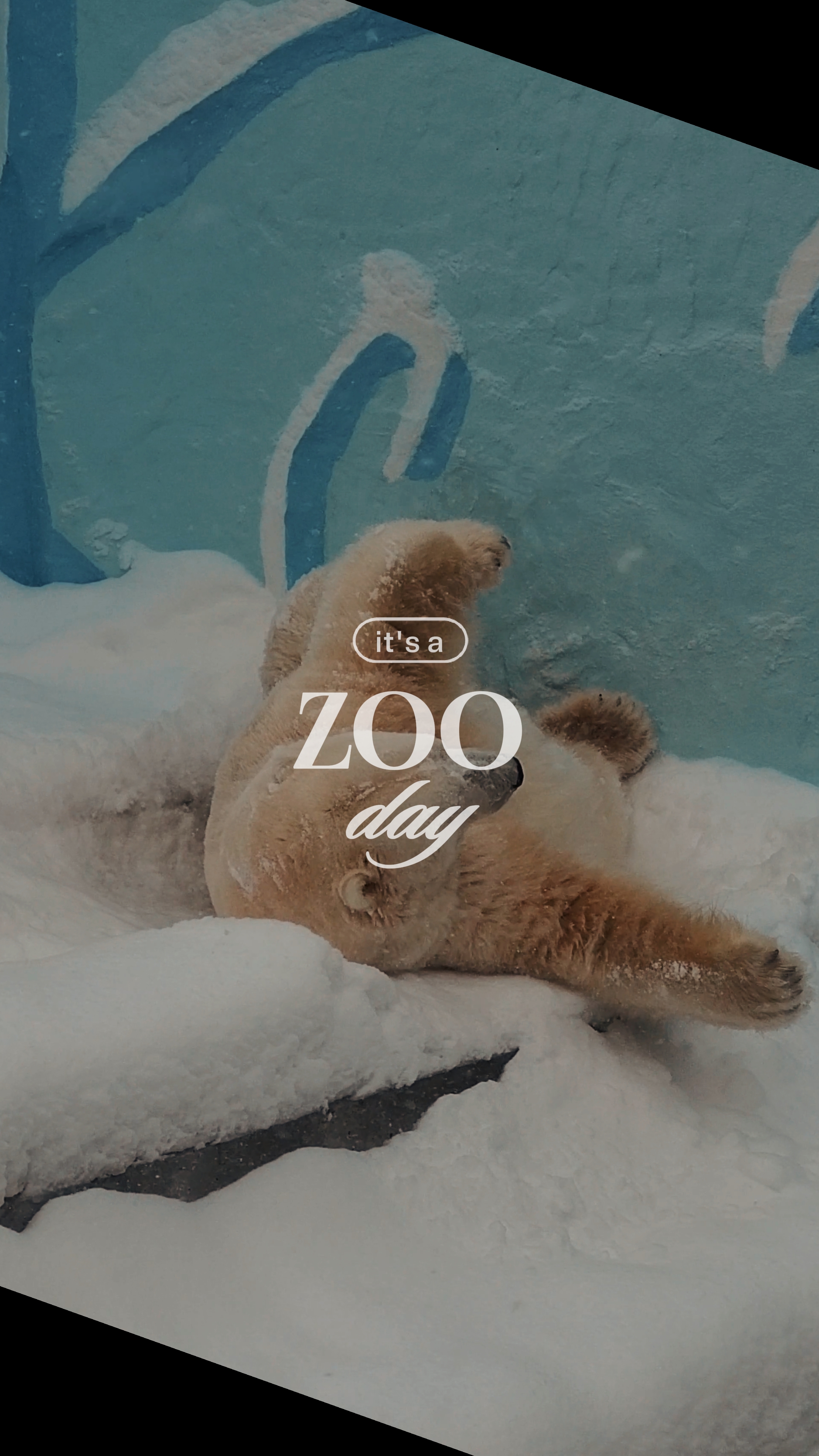 zoo day