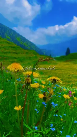 lifehurt, natureheal