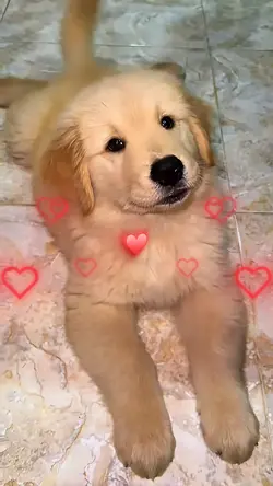 Loving you