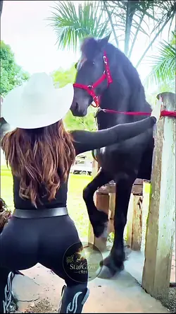 Vai Cavalona 🏇😅