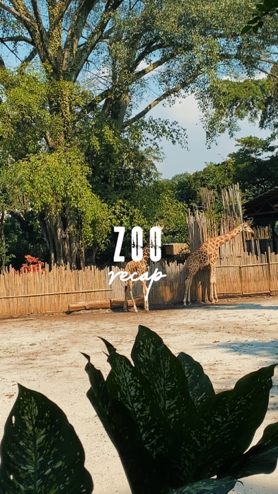 Zusammenfassung des Zoos