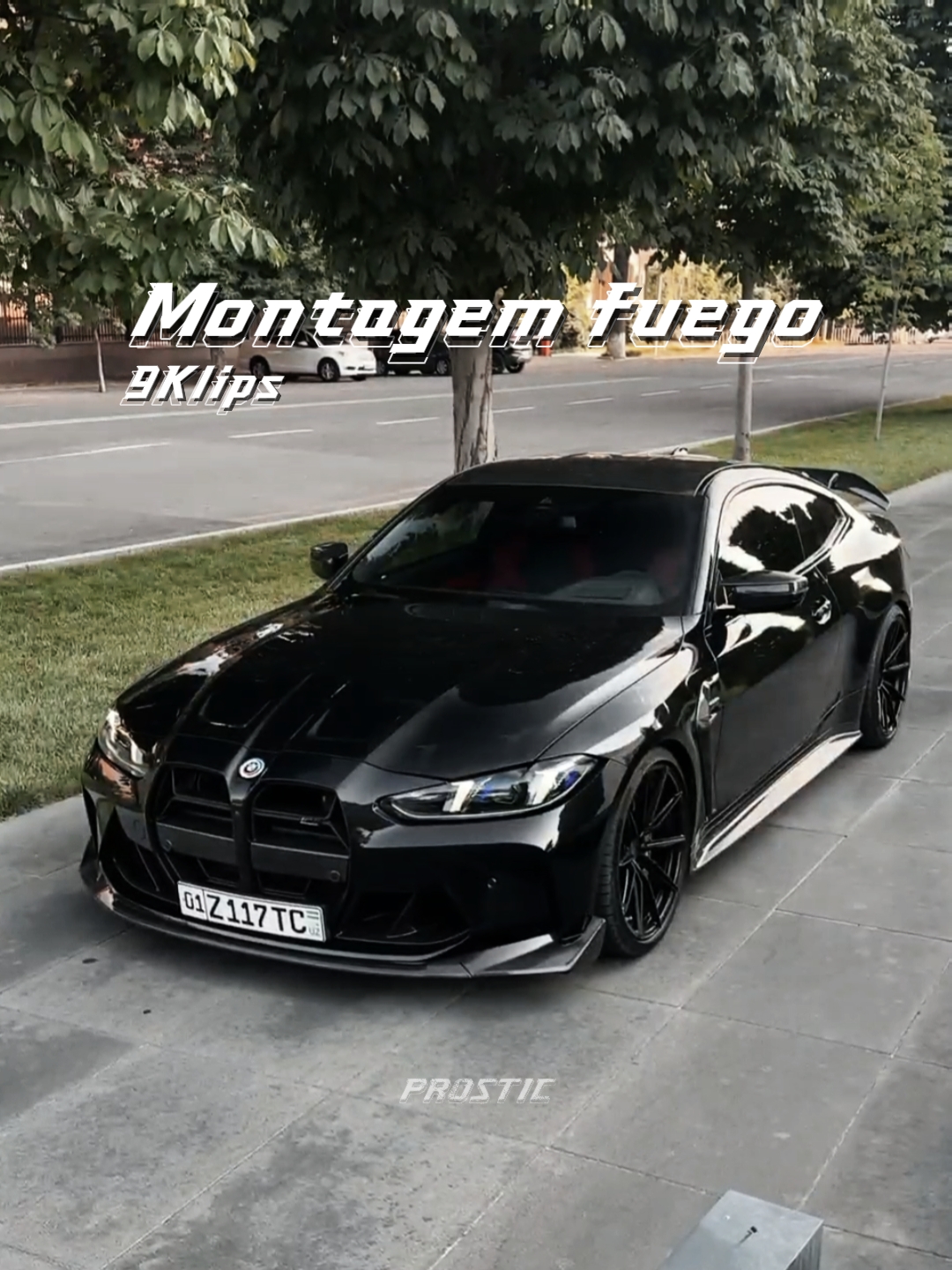 Montagem fuego