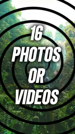 16 Slideshow Videos