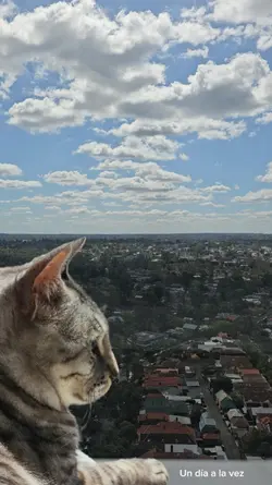 Hyperlapse