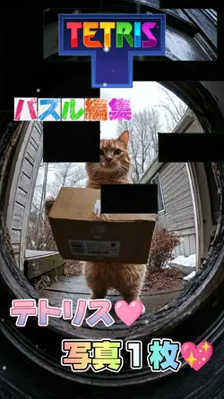 テトリス/パズル編集