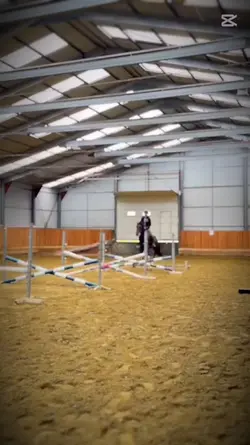 jumping horse