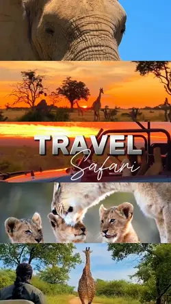 Travel Safari 