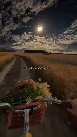 life when im offline