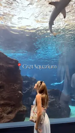 Aquarium 