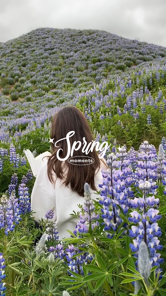Spring moments 