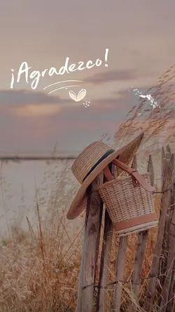 Frases bonitas 💕✨💗