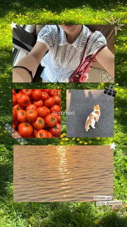 ★ photos in summer ★