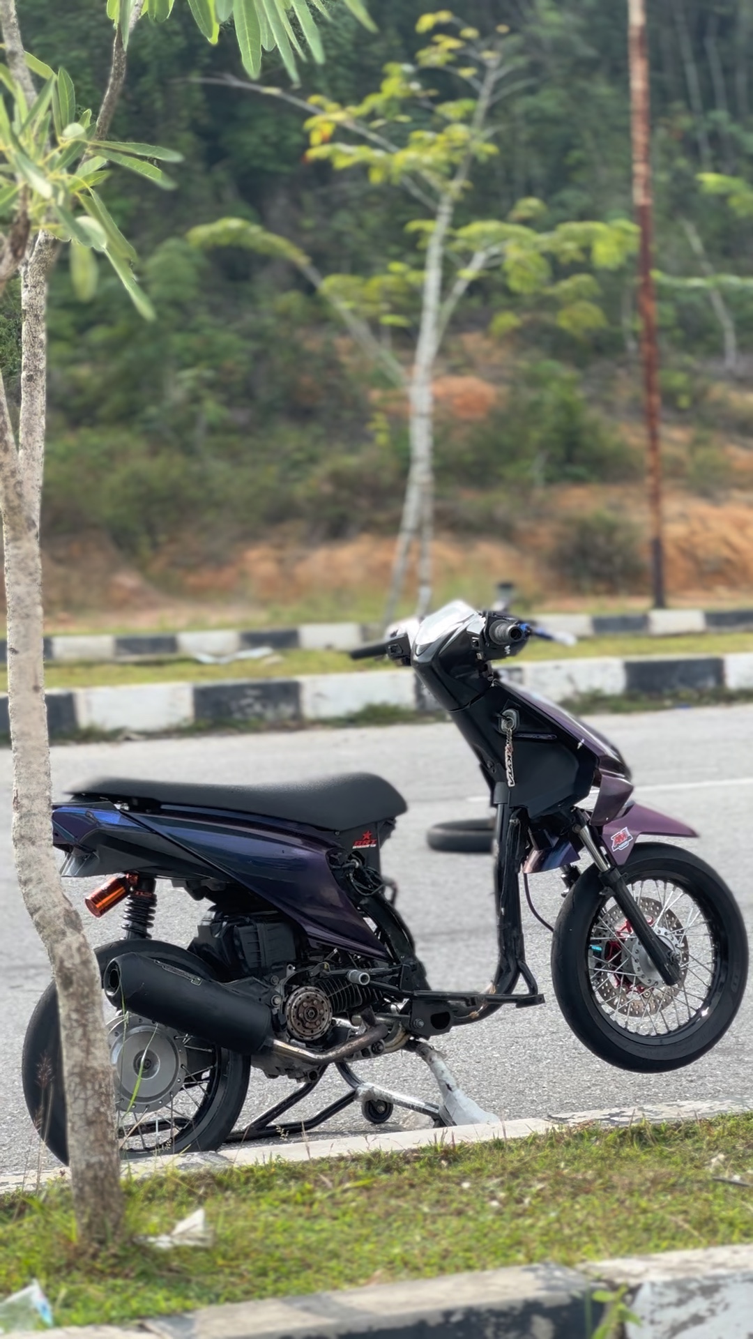 Cover Picture