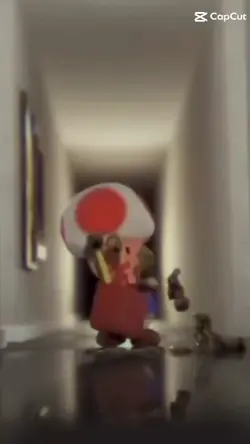 toad