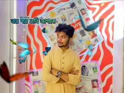 তোমাকে চাই