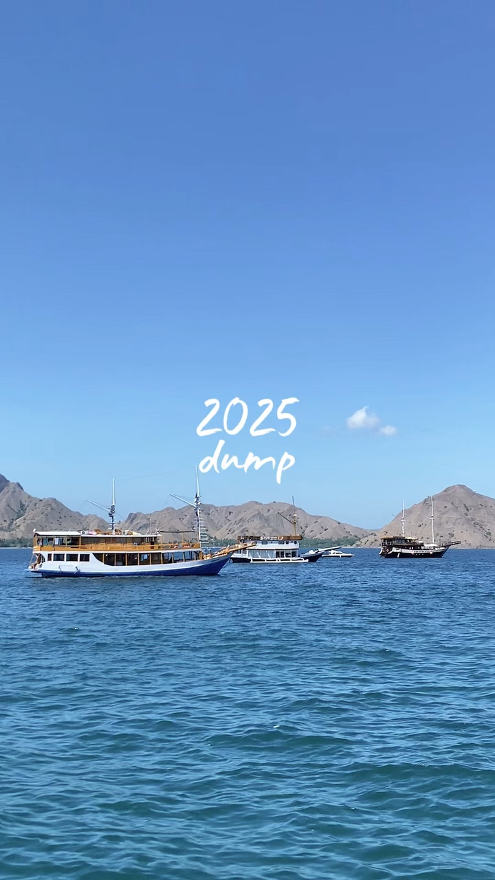 Volcado 2025