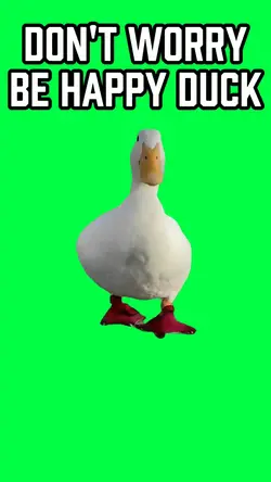 DONT WORRY BE HAPPY