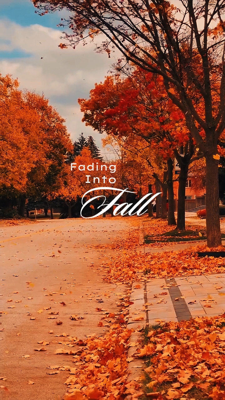 Desvaneciéndose en el otoño 