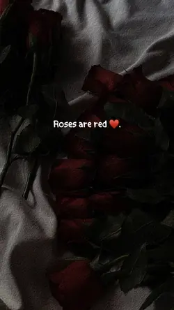 Roses are red ❤️‍🔥