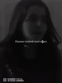 Dertli 