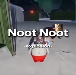 Noot Noot