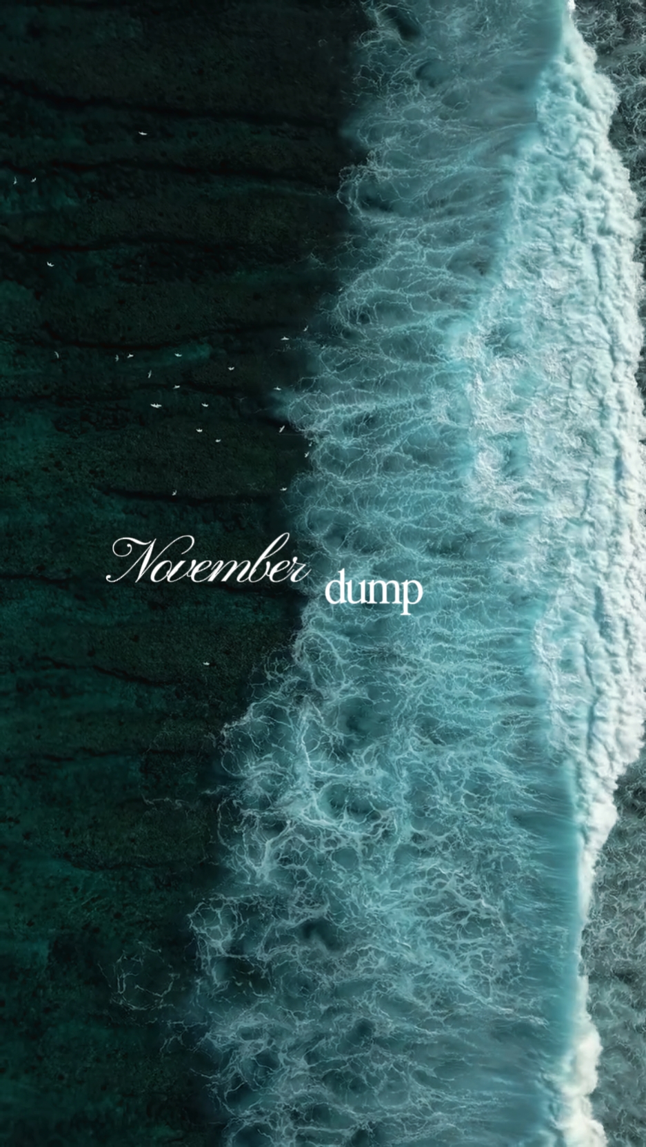 Despejo de novembro